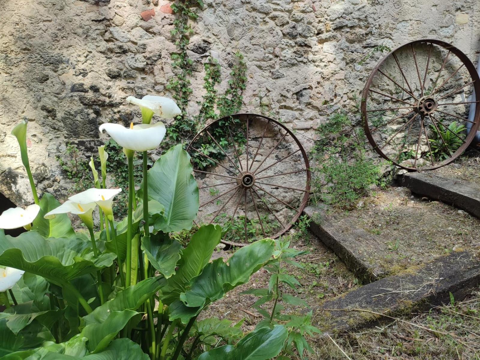 Chambre D'Hotes Le Moulin De Moulis מראה חיצוני תמונה